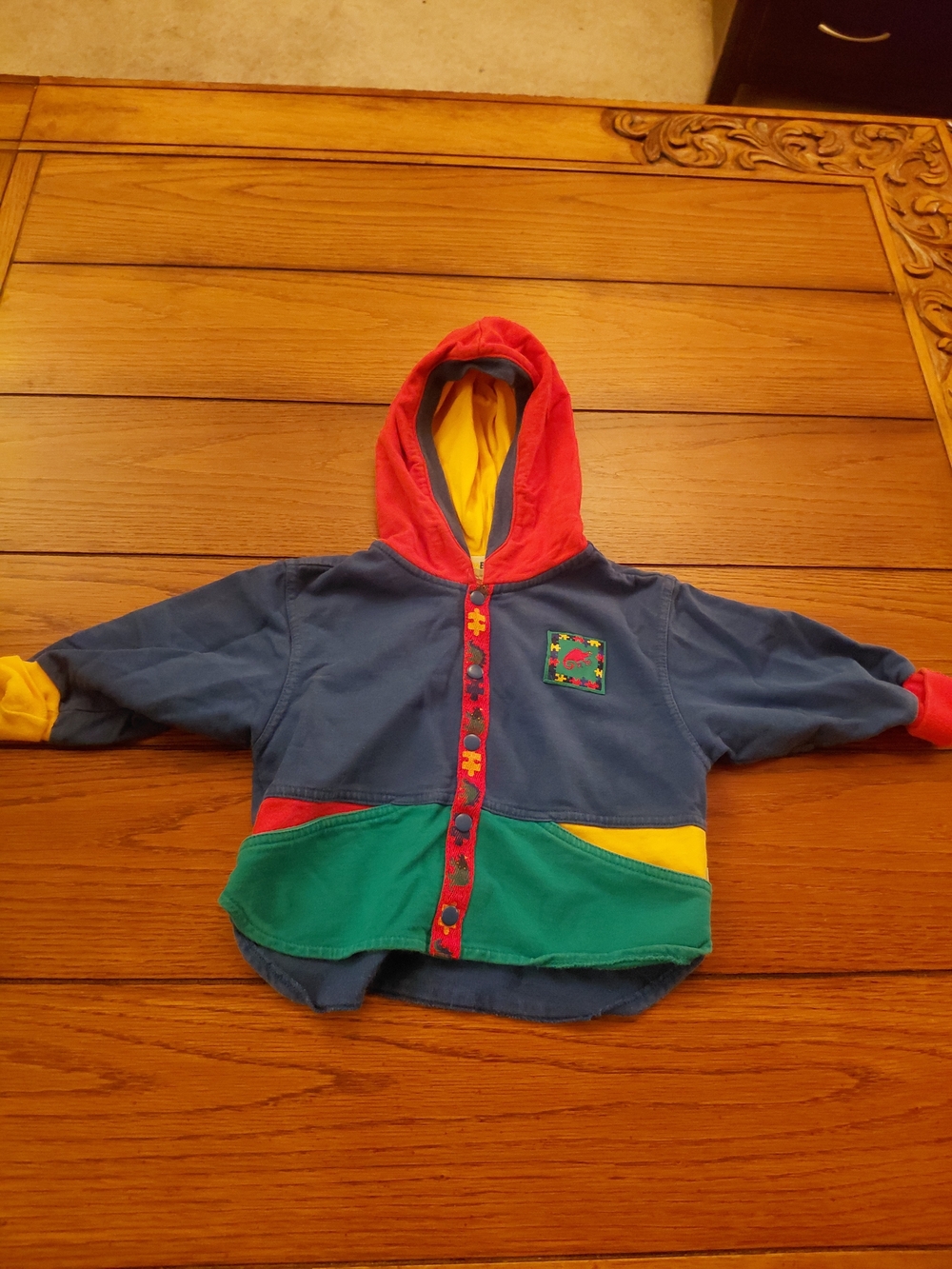 Gymboree Multicolor Colorblock Hoodie - Blue, Red, Green & Yellow